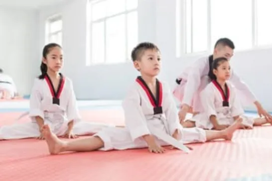 Students Practising taekwondo